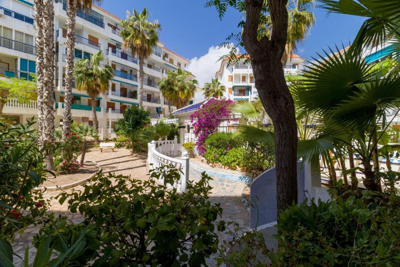شقة La Mata Belgica المظهر الخارجي الصورة